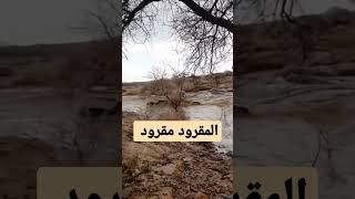 شاص يتحدى السيل