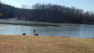 Icy Seneca Creek Park Lake, December 2022