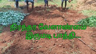 இருமடி பாத்தி/ Raised Bed for Farming/ #organicfarming