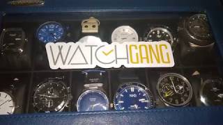 1 Year with WatchGang