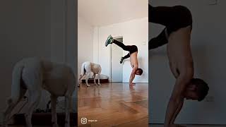 My version of TikTok handstand challenge #handstand #calisthenics #calistenia #tiktok #shorts #viral