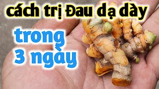 Bài thuốc trị Đau dạ dày cấp tốc. PHAN HẢI Vlog