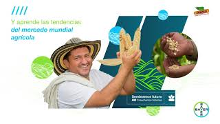 Aprende Cómo Cuidar Tus Cultivos | Agro Bayer Colombia