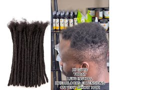 PERMANENT DREADLOCKS INSTALLATION ON VERY SHORT HAIR