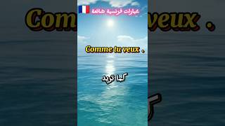 تعلم الفرنسية 🇫🇷عبارات فرنسية شائعة #تعلم #french #shorts #apprendrelefrancais #viral #fypシ #france