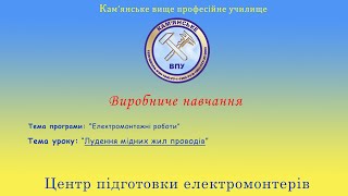 Лудення мідних жил проводів