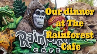 Rainforest cafe downtown disney springs