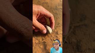 KERANG MUTIARA #funny #shorts #dubbing #toys #mainan #viralshorts