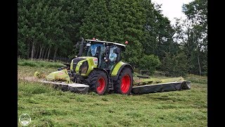 Wiese mähen // Claas Arion 540 mit Claas Disco - Kombi