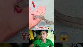 Subhanallah 🤲#viralvideo #islamic #trendingshorts #virelshorts #shorts