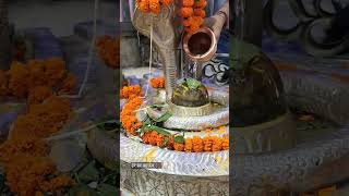 19-5-2024 शिव जी live दर्शन #bholenath #bhole #shiv #shivratri #music #love #newsong #india #dance