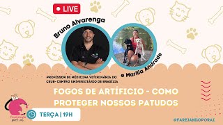 Fogos de artíficio - como proteger seu pet