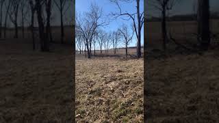 Land for Sale in the Ozarks, Missouri - 190 Acres - $398,500