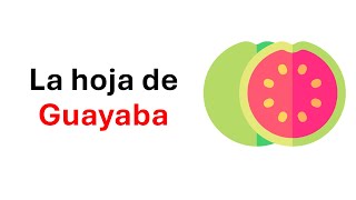 Para que sirve las hojas de guayaba