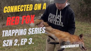 fox & coyote trapping , (trapping series, season 2, ep. 3)