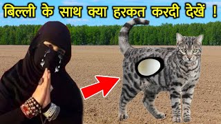 ज़ालिम औरत ने बिल्ली के साथ क्या सलूक किया देखें || Bhookhi Billi Aur Zalim Billi Ka Waqia