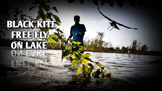 Amazing black kite cinamatic free fly on lake | chil training 💯💯💥