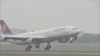 Lufthansa Airbus A343 Smooth Landing RWY 25R @Frankfurt Airport