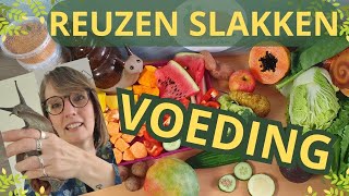 Wat moet een Reuzenslak eten