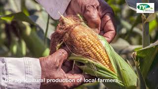 Natural Climate Solution and Social Innovation For Food and Clean Energy