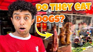 Do The Chinese eat everything? | Do they really eat dogs? | Visit to Chinese meat markets