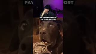 This dog was not trying to pay child support #pablo #pablovintura #trending #viral