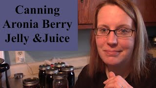 Are Aronia Berries Healthier than Elderberries?