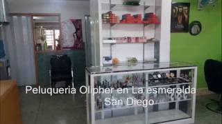 Peluqueria en Venta en la Esmeralda- San Diego