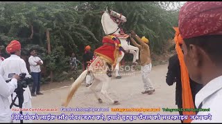 अपना जसोल || Apna Jasol || मां माजीसा मंदिर जसोल धाम विडियो || Maa Majisa Mandir Jasol Dham