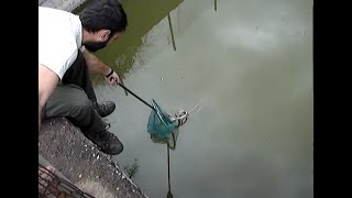 Rescuing a Large Whip Snake from a well