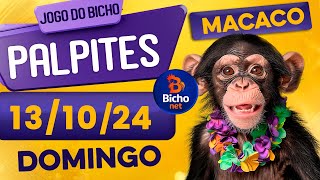 PALPITE DO DIA 13/10/2024 - JOGO DO BICHO 🍀 TODAS AS LOTERIAS 🍀