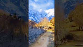 Nanga Parbat Rupal Face #travel #nature #gilgitbaltistan #pakistan #viral #trending #shorts