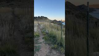 An evening walk along the reservoir. #colorado #mountains