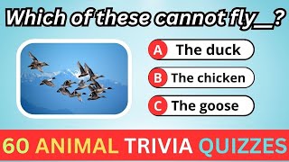 Animal Trivia Quizzes: Test Your Knowledge Now! 60 Quizzes #animalquiz