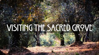 Visiting the Sacred Grove (Guided Meditation)