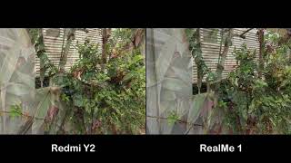 Xiaomi Redmi Y2 Vs Realme 1 Camera Test Comparison