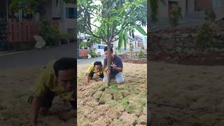 tetangga kadal#comedy #viral #shots