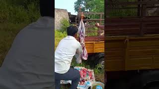 Mutton cutting #food #shortsvideo #mutton