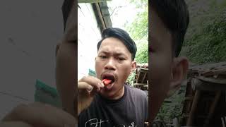 Makan buah kecapi pake cabe rawit #shorts #trending #tiktok