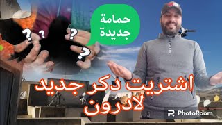 شريت دكر لادرون صائد الحمام 😍😍وتوليعة فالدكور 🕊🕊