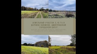 Земельный участок 3,16 га в деревне Княжево. Дмитровский городской округ