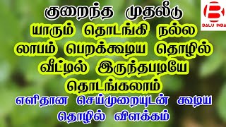 குறைந்த முதலீட்டில் தொழில் தொடங்கலாம்/ Business ideas in tamil/ Balu INBA