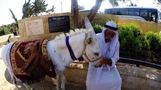 Hawaii Loves Israel 2017: GoPro Hero 4 Silver