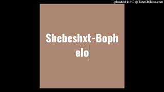 Shebeshxt-Bophelo (Bayor97, Leon Lee, Naqua SA, Phobla On The Beat & Buddy Sax)