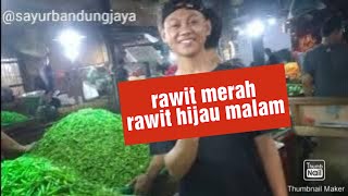 cabe rawit merah  malam ,hijau dll 26 -27 feb 2024 #pasarindukcaringin#bandung #infoharga