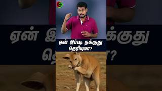 என்ன காரணம்?#tamilguru #tamilinformation #naveenbharathi