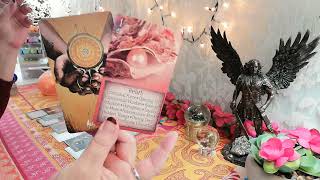 ♐️ Boogschutter Liefde 🪽 AE Michaël 🩷 Ik Geef Jou Het Geheime Document 🩷 Tarot Reading 2024