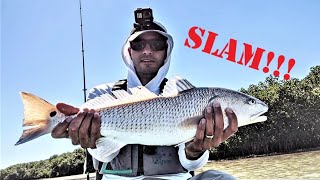 Fort Desoto SLAM! Redfish, Snook, Trout and Sheepshead Kayak Fishing