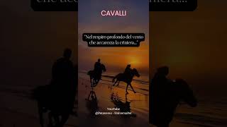 Nel respiro profondo del vento che accarezza la criniera #cavalli #animali #aforismi #saggezza