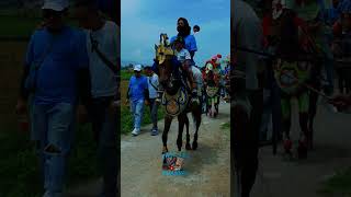 Kuda renggong Ganden Jaya #kudarenggongsumedang #kudarenggong #dancinghorse